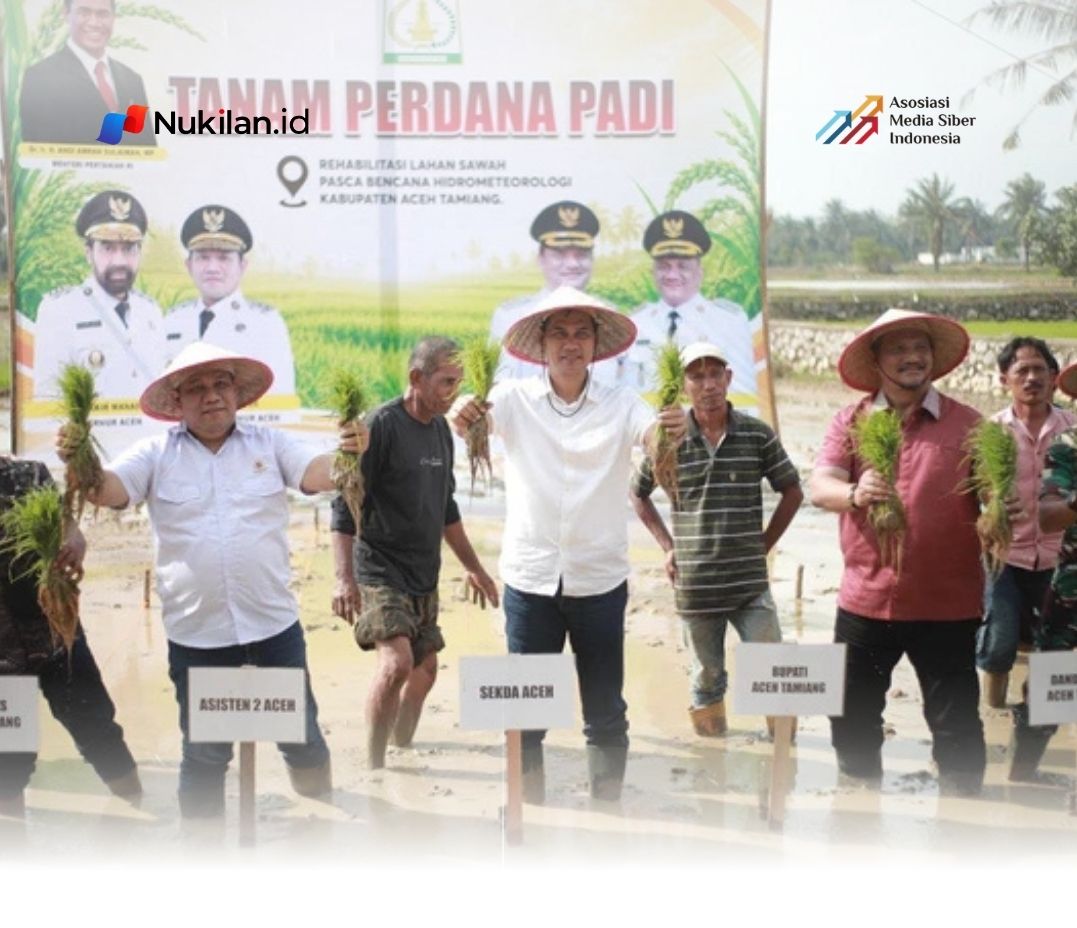 Lahan Pertanian Aceh Mulai Pulih Usai Bencana Hidrometeorologi, 57.364 Hektare Sawah Terdampak Kini Masuk Masa Tanam