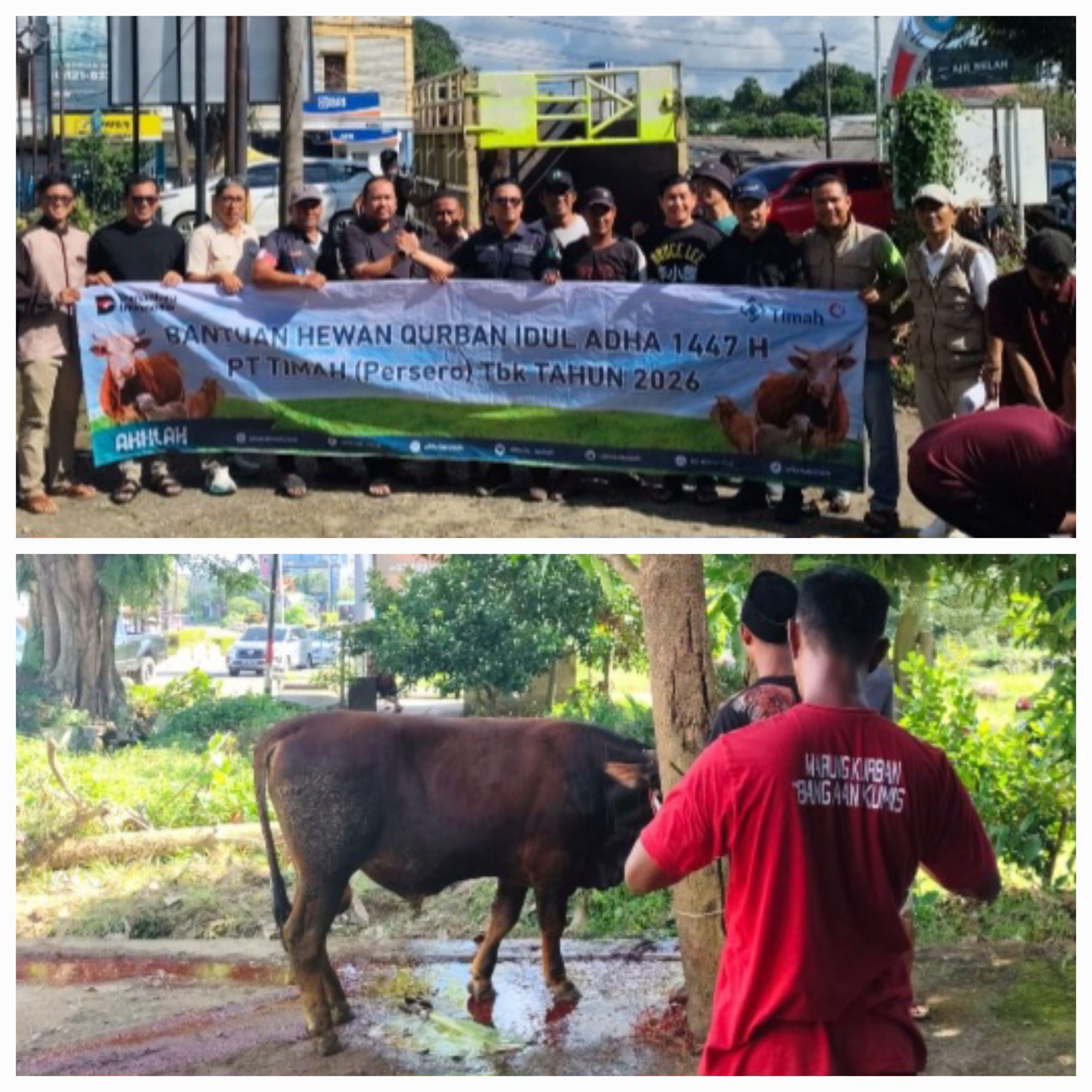 PWI Bangka Belitung Sembelih 11 Hewan Kurban Iduladha 1447 H, Daging untuk Anggota dan Warga Sekitar