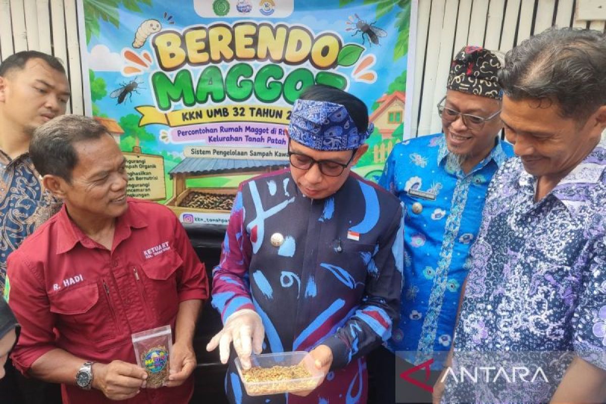 Pemkot Bengkulu Dorong Seluruh Kelurahan Budidaya Maggot, Dimulai dari Tanah Patah