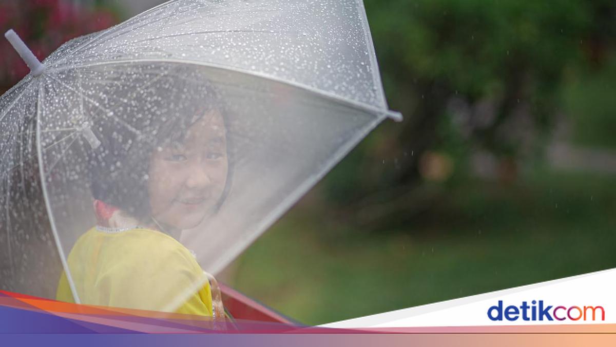 BMKG Prediksi Hujan Ringan Guyur Tanjung Jabung Timur Hari Ini, 10 Wilayah Lain di Jambi Berawan hingga Kabut
