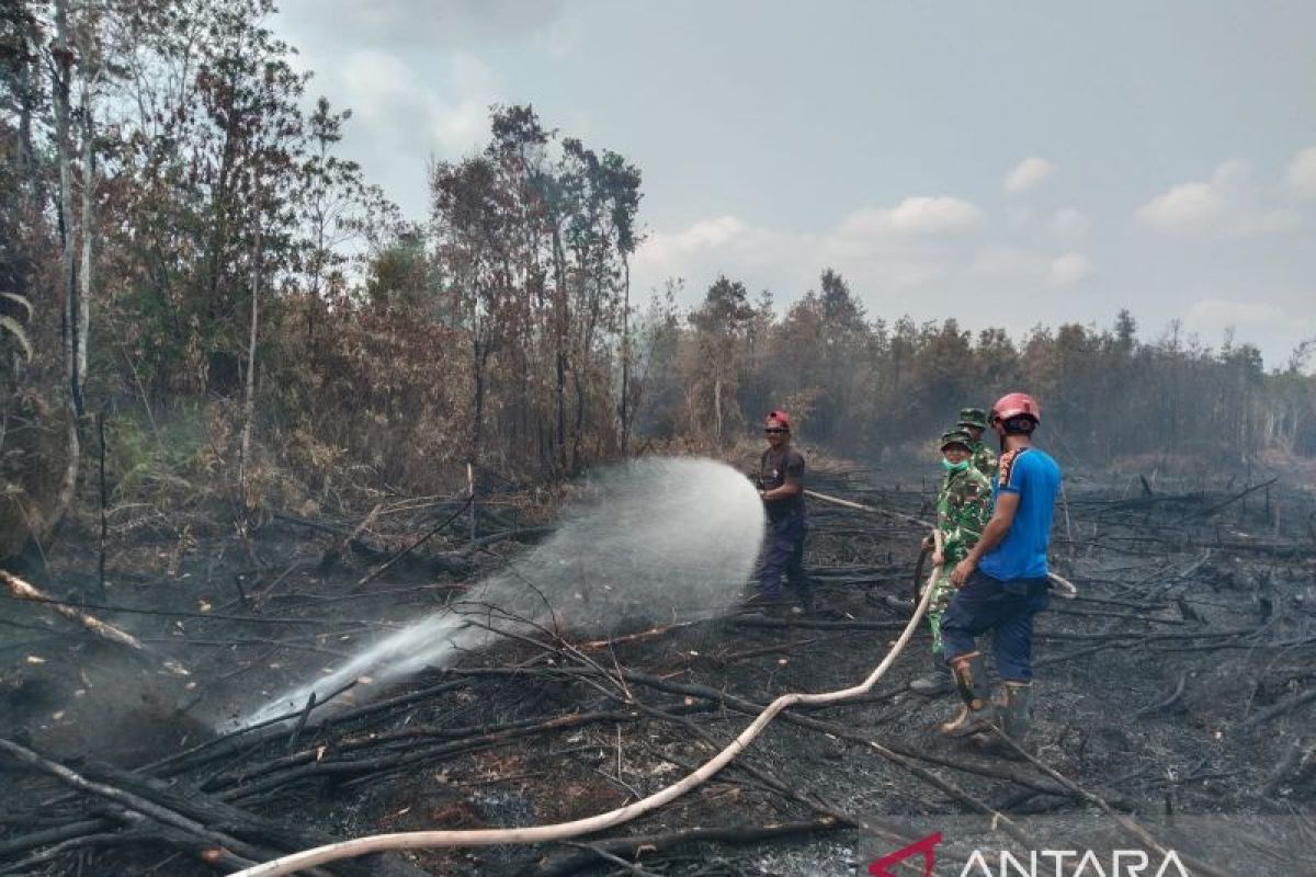 BPBD Belitung Pakai Videotron Bundaran Satam untuk Sosialisasi Cegah Karhutla, 200 Hektare Hutan Terbakar