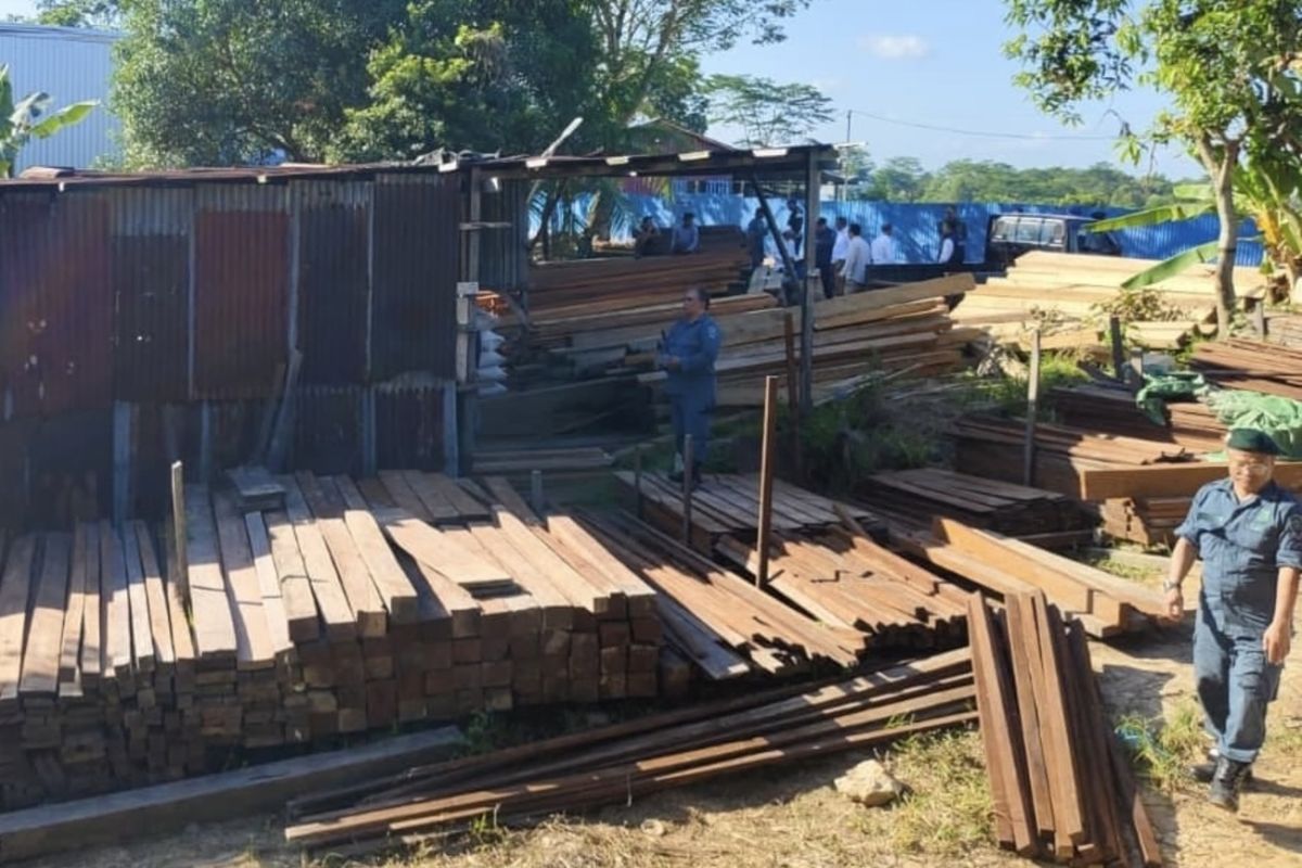 Kemenhut dan Polda Kaltim Sita 1.205 Batang Kayu Ilegal di Balikpapan, Modus Pemalsuan Dokumen SKSHH Terungkap