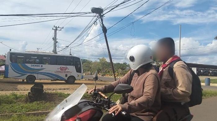 Jadwal Damri dari Tana Tidung ke Tanjung Selor dan Malinau: Tarif Mulai Rp20 Ribu, Bus Tersedia Pagi dan Sore