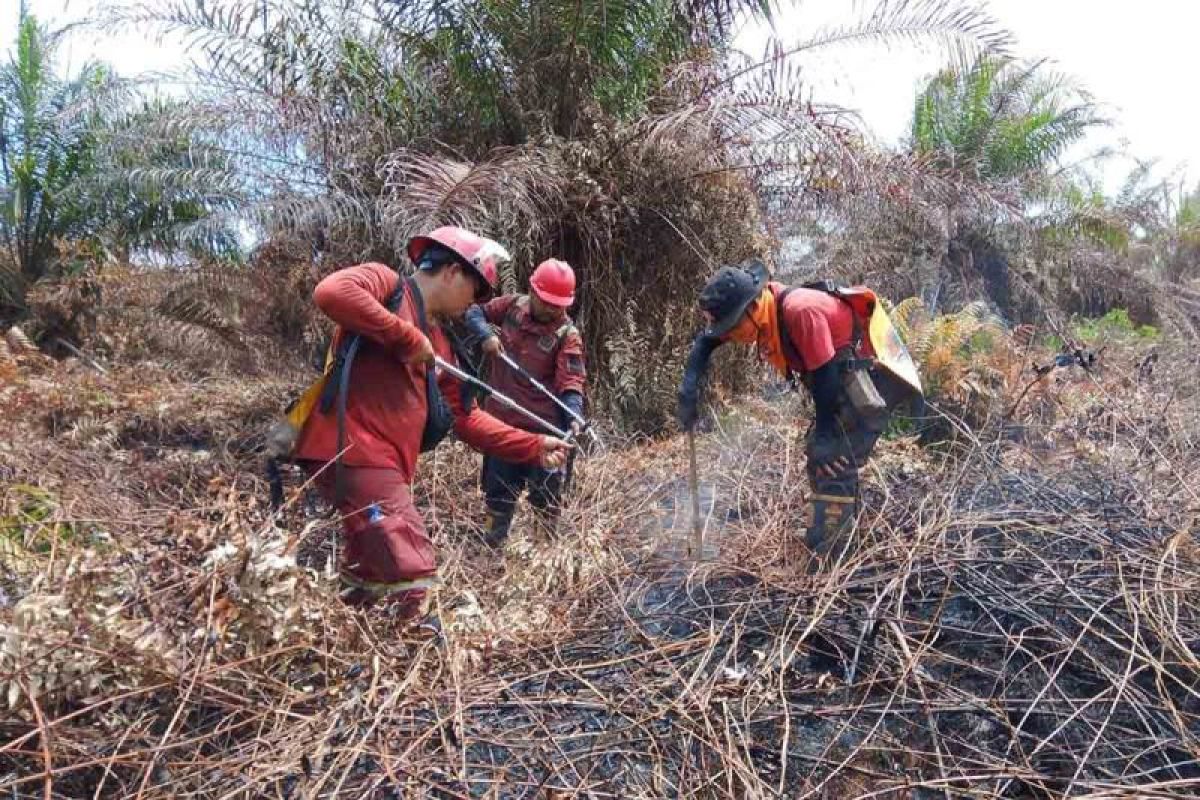 Kebakaran Hutan dan Lahan di Aceh Selatan Padam Total Setelah 10 Hari, Tim Manggala Agni Dikerahkan
