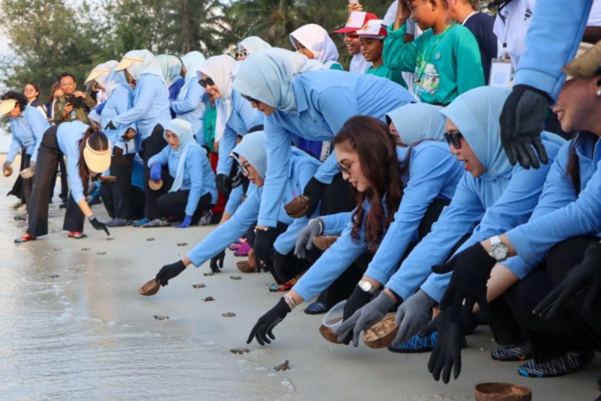 Istri Wapres Selvi Gibran Tanam Karang hingga Lepas Tukik di Bintan Peringati Hari Anak Nasional 2026