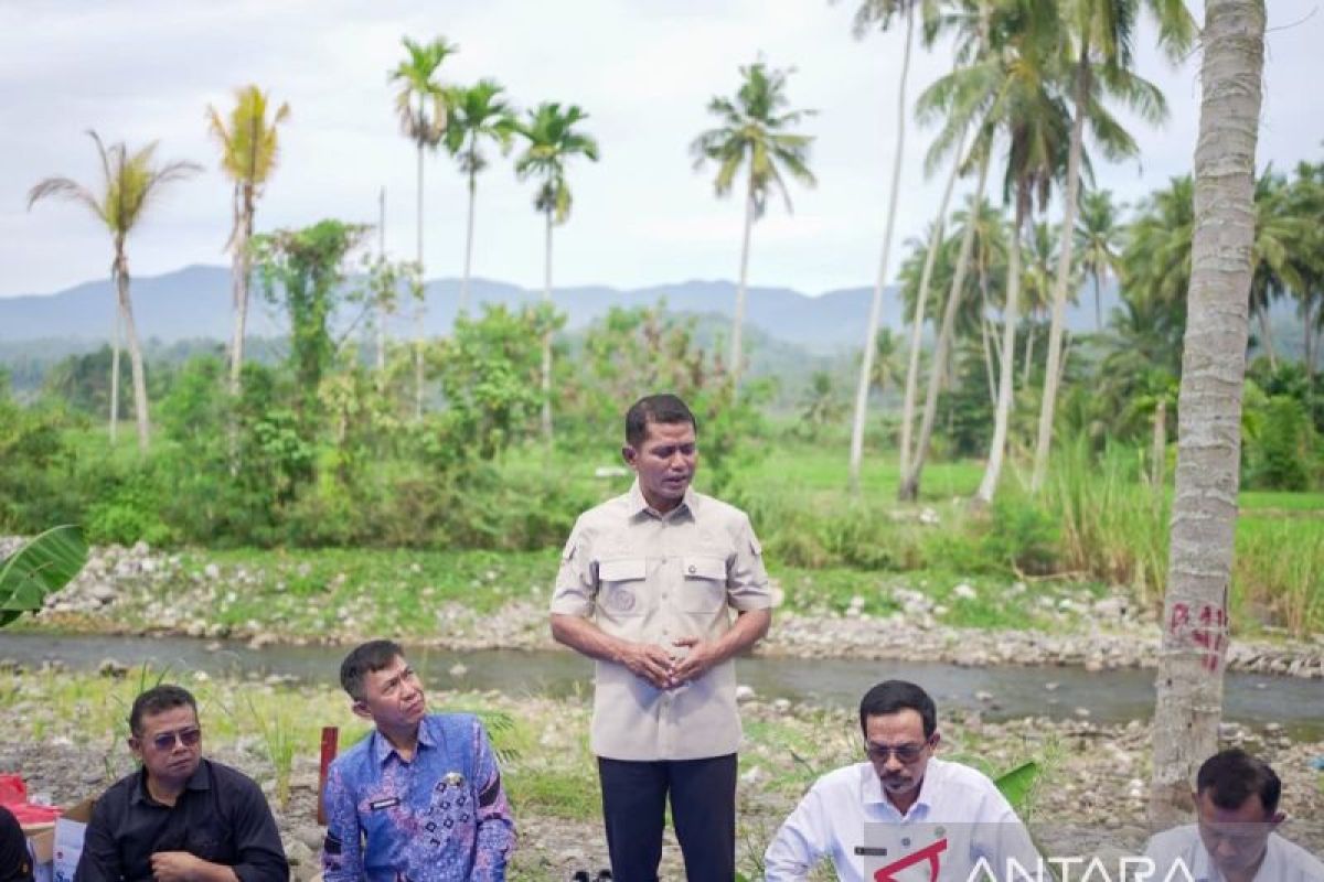 Pemkab Solok Gelontorkan Rp54,78 Miliar Pulihkan 1.247 Hektare Sawah Terdampak Bencana dan Perbaiki Infrastruktur Pertanian