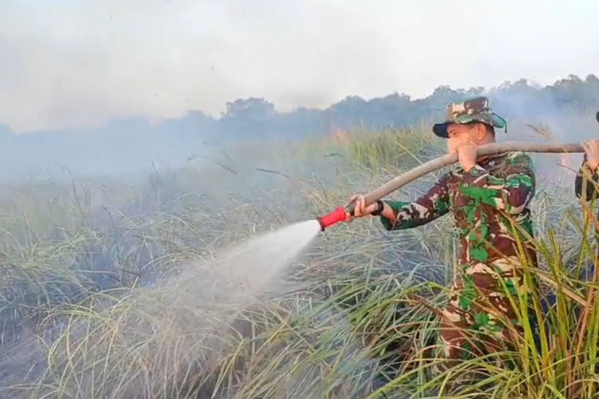 Kodam XXI/Radin Inten Kerahkan Prajurit Yonif 943/DPC Padamkan Karhutla di Taman Nasional Way Kambas, Helikopter Water Bombing Disiagakan