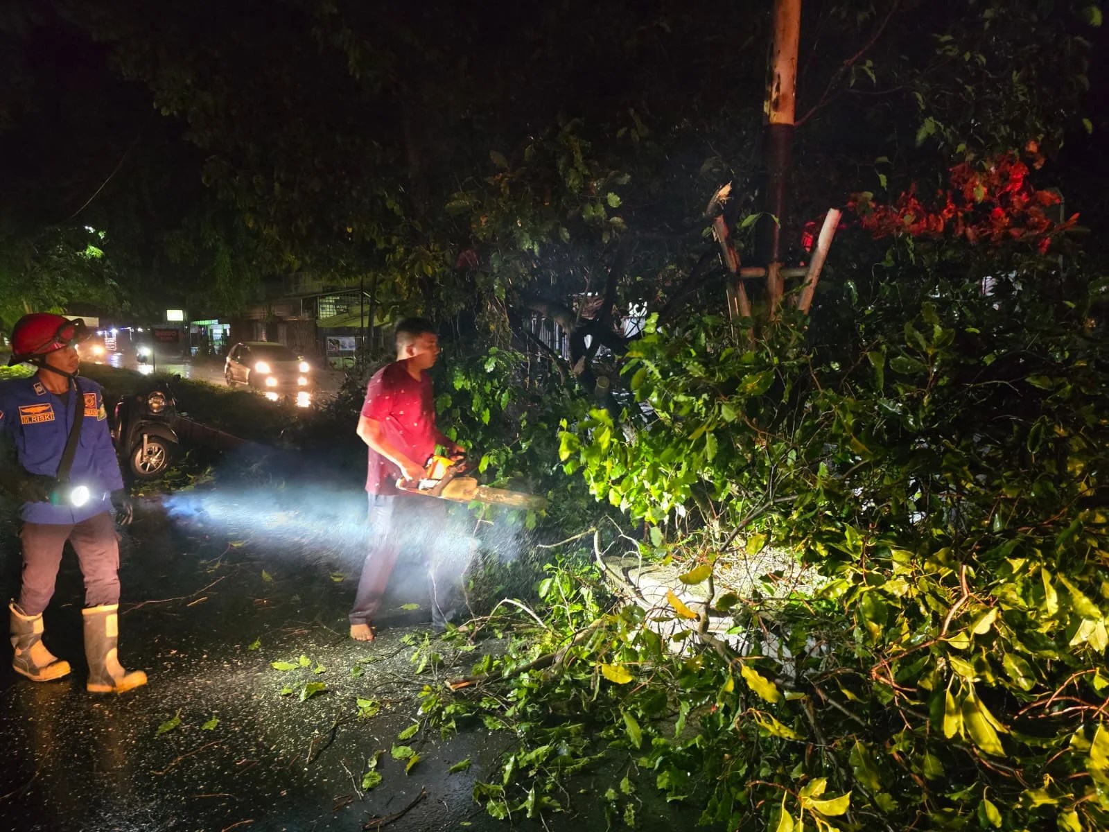 Hujan Deras dan Angin Kencang Terjang Aceh Besar, Pohon Tumbang di 4 Titik Jalan hingga Atap Rumah Warga Rusak