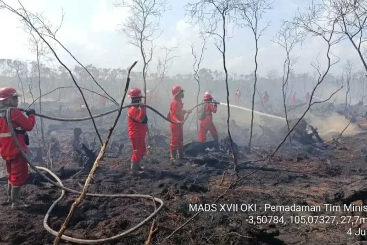 BMKG: Puncak Kemarau Sumsel Terjadi Agustus-September, El Nino Kuat Picu Risiko Karhutla