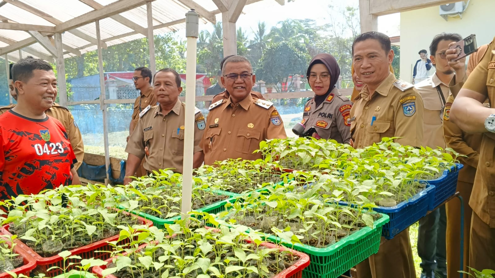 Wabup Bengkulu Utara Sumarno Tinjau Green House DKP, 30 Ribu Bibit Sayuran Siap Dibagikan ke Warga