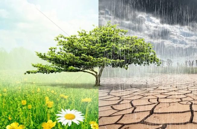 Suhu Palembang Tembus 35,1 Derajat Celsius, BMKG Sebut Hujan Lebat Masih Mengintai saat Pancaroba