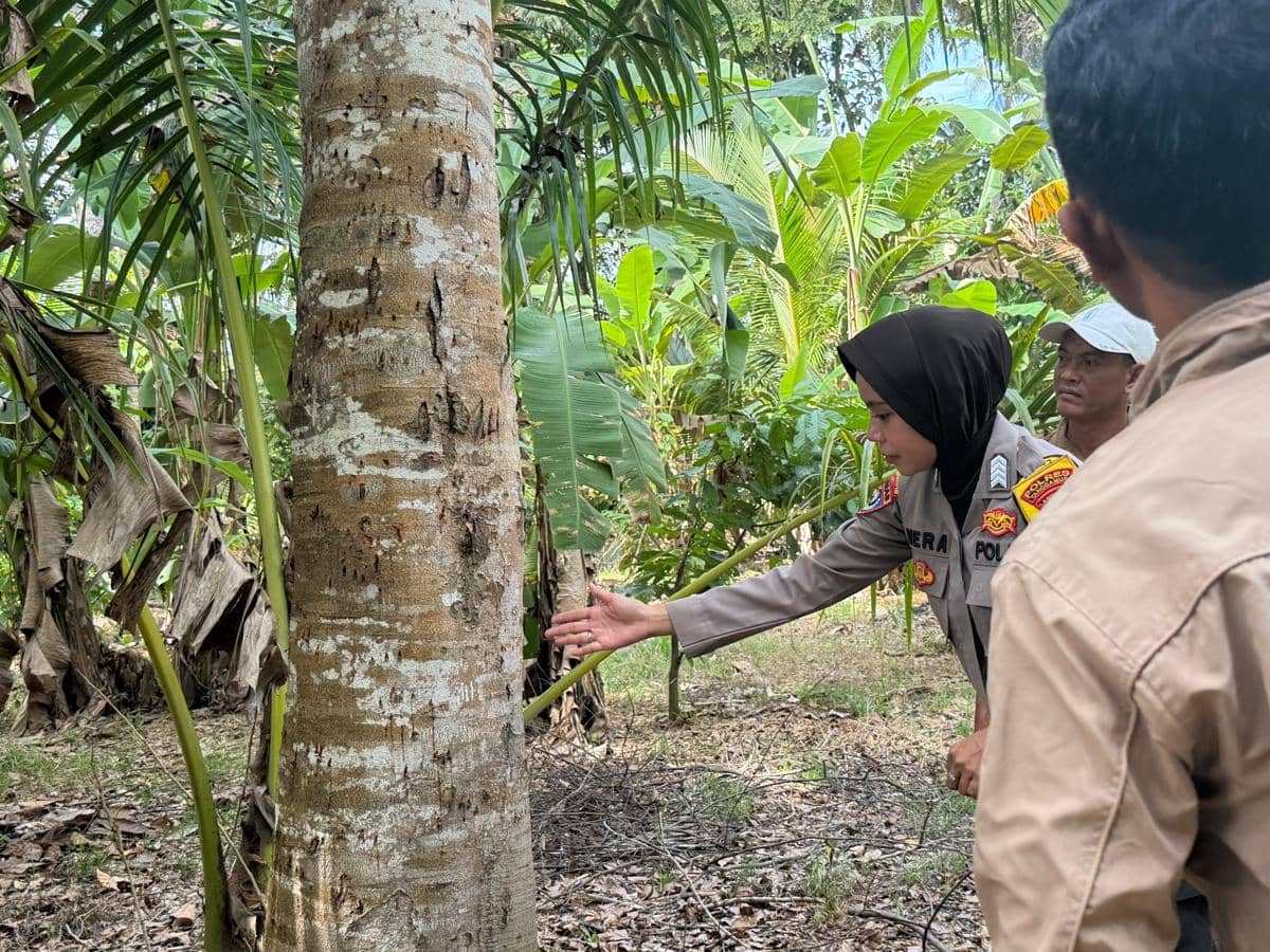 Warga Tanggamus Digegerkan Kemunculan Beruang di Perkebunan, Polisi Temukan Bekas Cakaran di Batang Pohon Jengkol