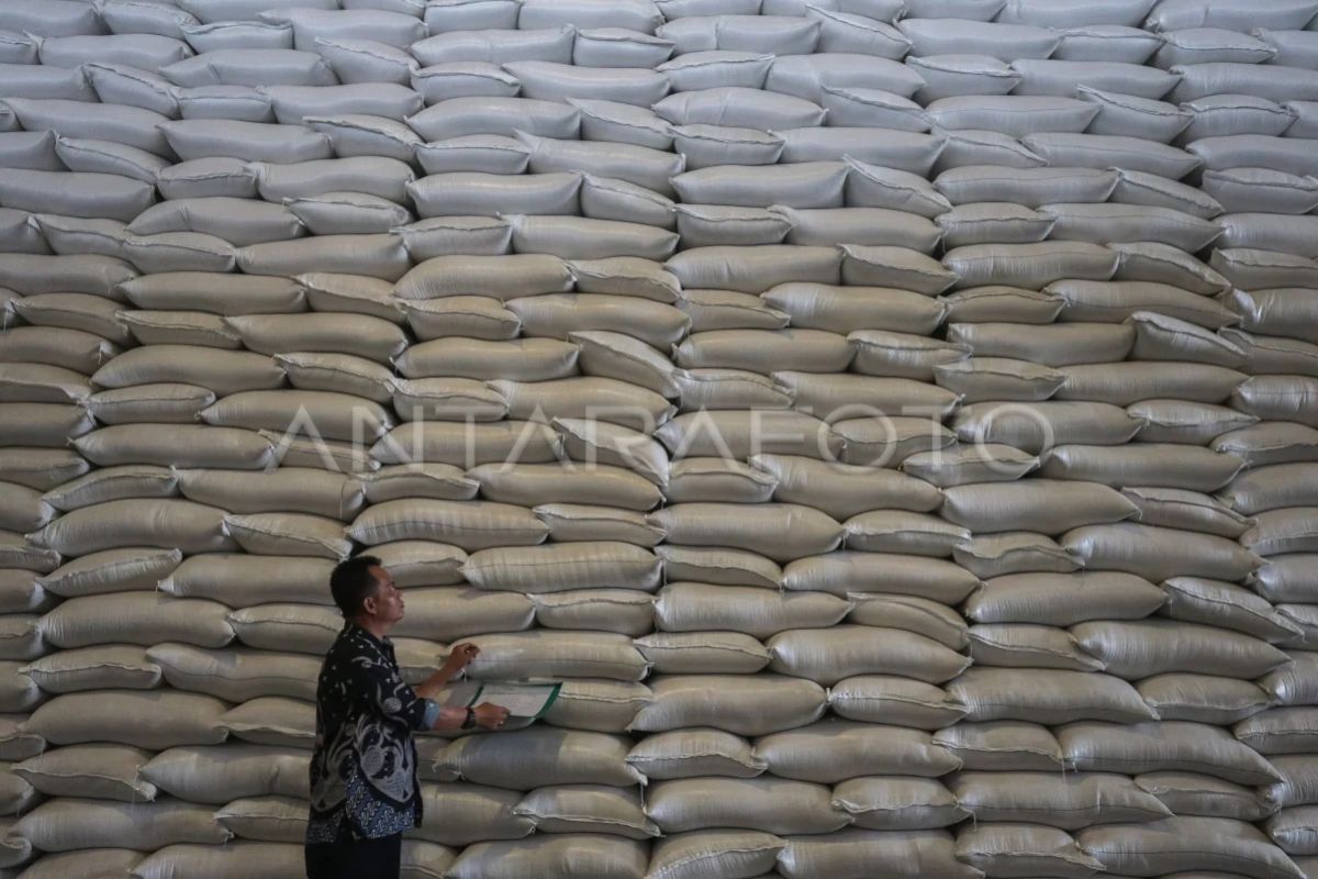Stok Beras Bulog di Sumsel Capai 116 Ribu Ton, Surplus untuk Kirim ke Jambi, Bengkulu, dan Riau