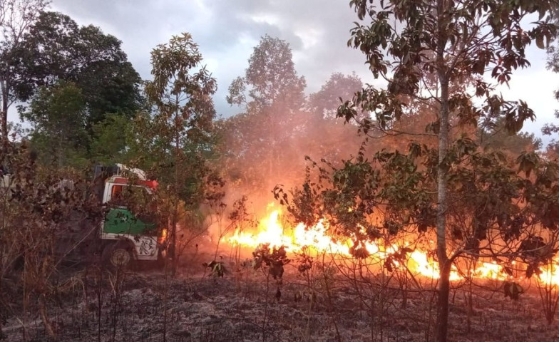 13 Karhutla Melanda Lampung dalam Dua Bulan Terakhir, 10,6 Hektare Lahan Hangus Terbakar