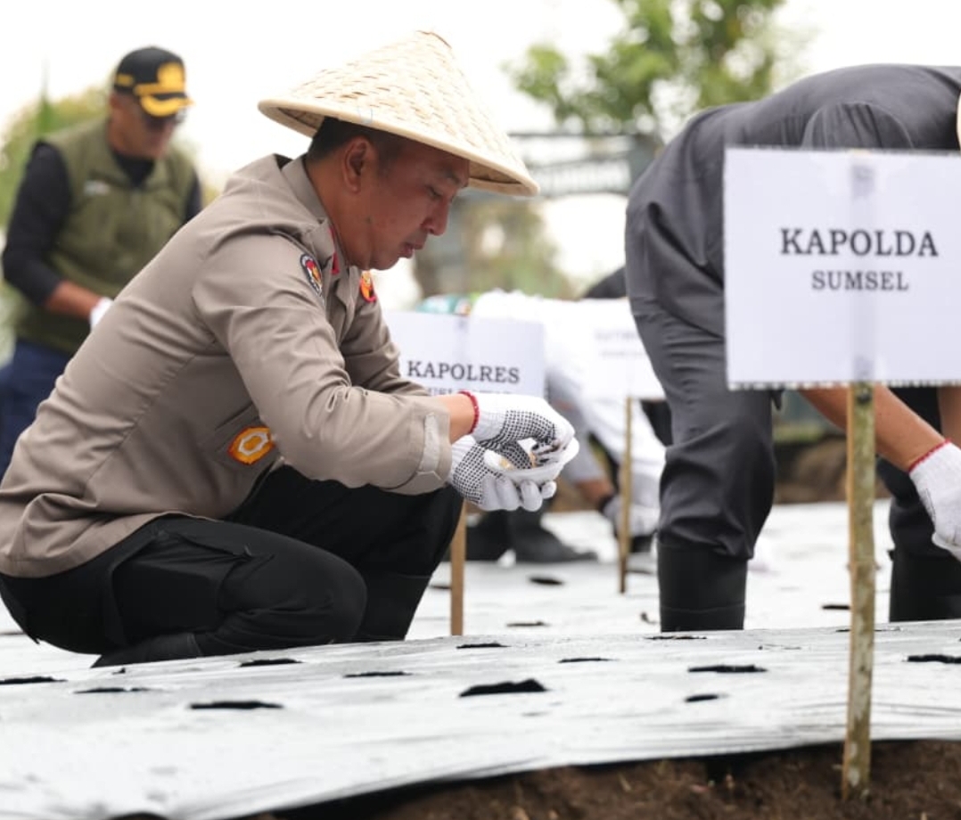 Kapolda Sumsel Pimpin Tanam Perdana 1,4 Ton Bibit Bawang Putih di Pagar Alam, Optimistis Jadi Sentra Produksi Baru