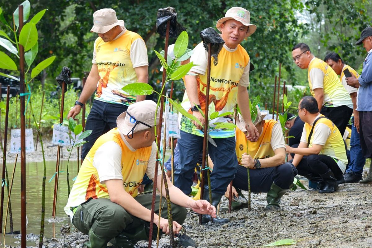 Otorita IKN Rehabilitasi Lahan Bekas Tambang di Tahura Bukit Soeharto, 65 Persen Wilayah Disiapkan Jadi Ruang Hijau
