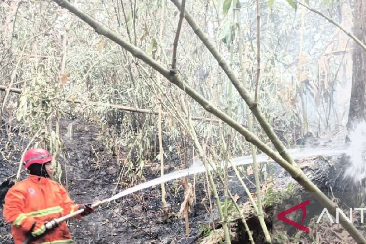 Karhutla di OKU Selatan Padam Total, BPBD Terjunkan Dua Mobil Suplai Air ke Desa Tanjung Raya