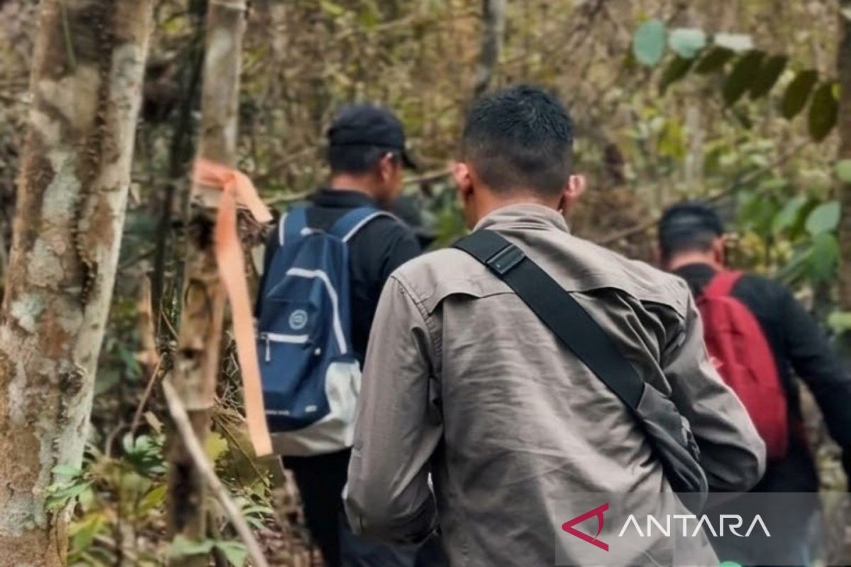 Pemprov Kaltim Perkokoh Rehabilitasi Hutan, Awasi 8 Juta Hektare dan Alokasikan Perhutanan Sosial 365 Ribu Hektare