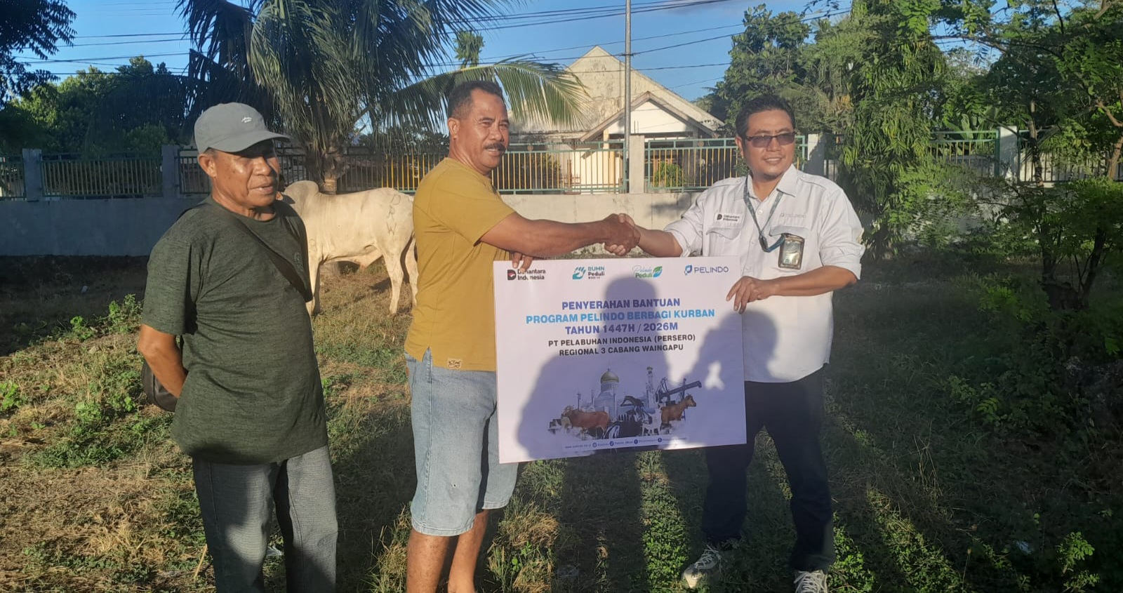 Pelindo Waingapu Salurkan 4 Ekor Sapi Kurban untuk Masjid di Kota Waingapu, Ini Pesan General Manager