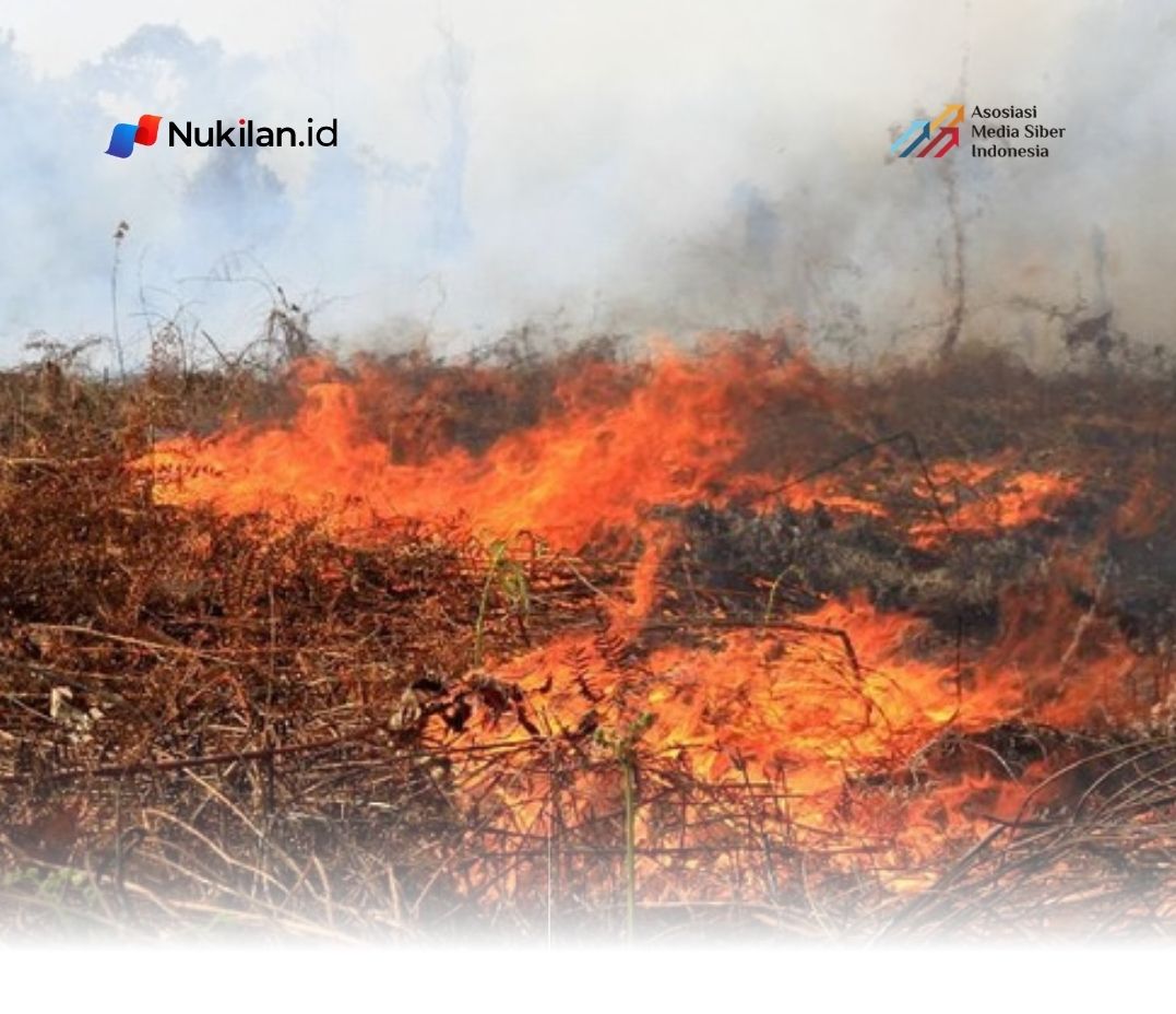 Kebakaran Hutan di Aceh Besar Hanguskan 20 Hektare, Api di Desa Data Makmur Masih Belum Padam