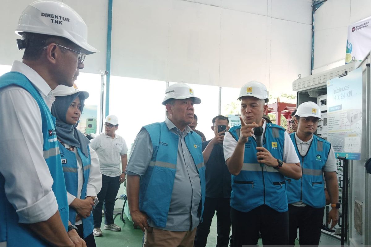 Listrik Pulau Rengit Belitung Kini Menyala 24 Jam, PLN Klaim Gangguan Turun 315 Persen