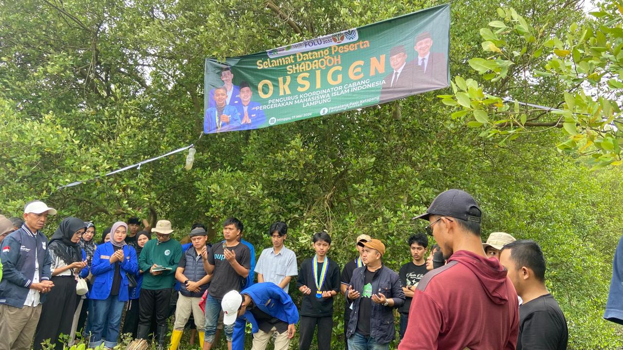 5.000 Bibit Mangrove Ditanam Kader PMII di Pesisir Lampung Selatan, Target Serap 60 Ton CO2 per Tahun