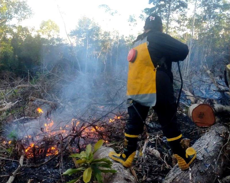 Karhutla di Desa Trahean, Barito Utara, Hanguskan 0,89 Hektare Lahan, BPBD dan MPA Padamkan Api dalam 2 Jam
