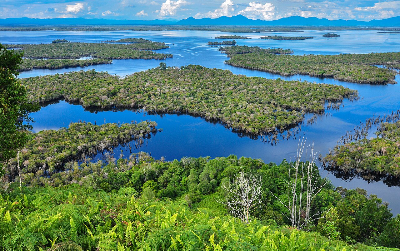 Taman Nasional Danau Sentarum, Kawasan Lahan Basah Terbesar di Indonesia