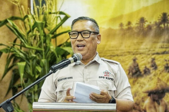 Inflasi Karimun Terendah se-Kepri di 2,95 Persen, Wagub Nyanyang Soroti Daya Beli Masyarakat