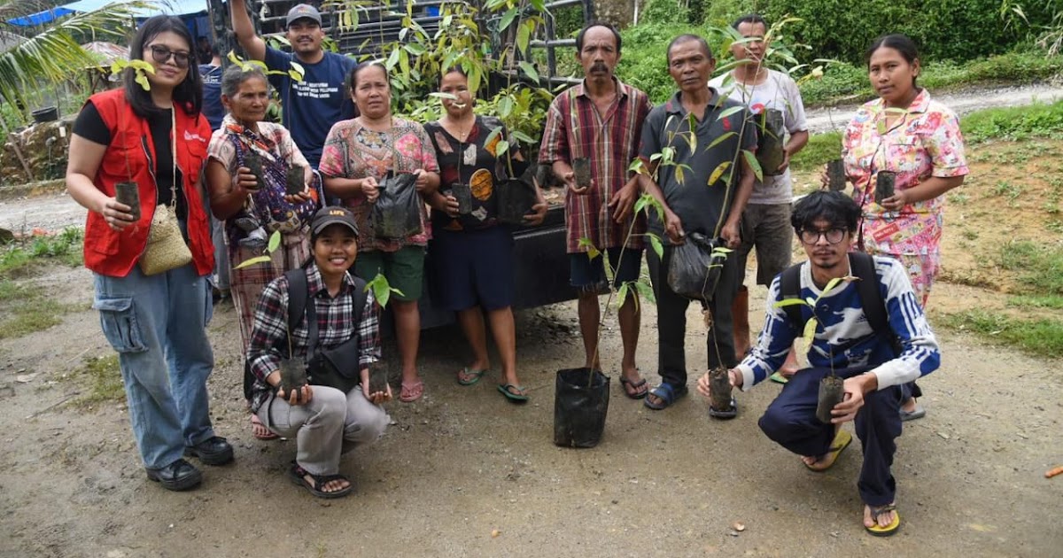 Yayasan Green Justice Indonesia Salurkan 10.000 Bibit Kemenyan ke Masyarakat Adat di Tapanuli Utara, Toba, dan Simalungun