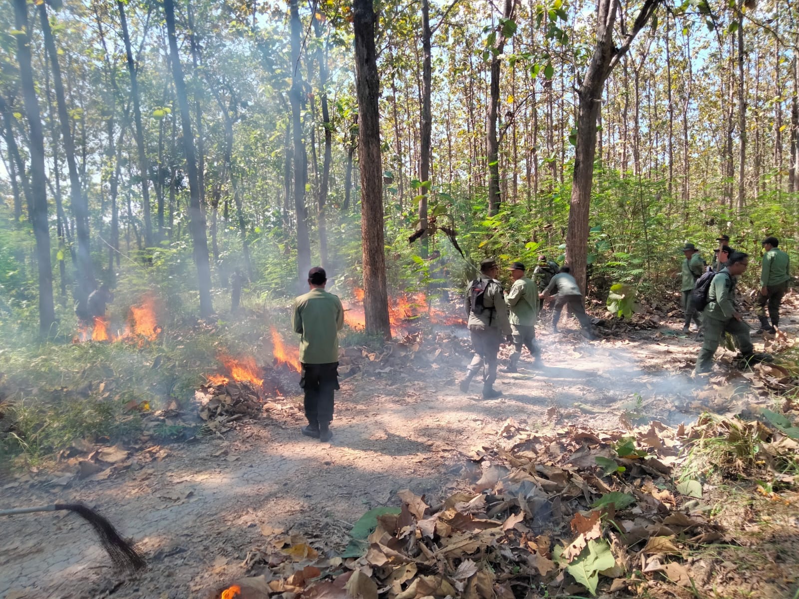 Perhutani Blora Latih Ratusan Personel dan Warga Desa Hadapi Karhutla, Simulasi Digelar di Petak 12 RPH Sambonganyar