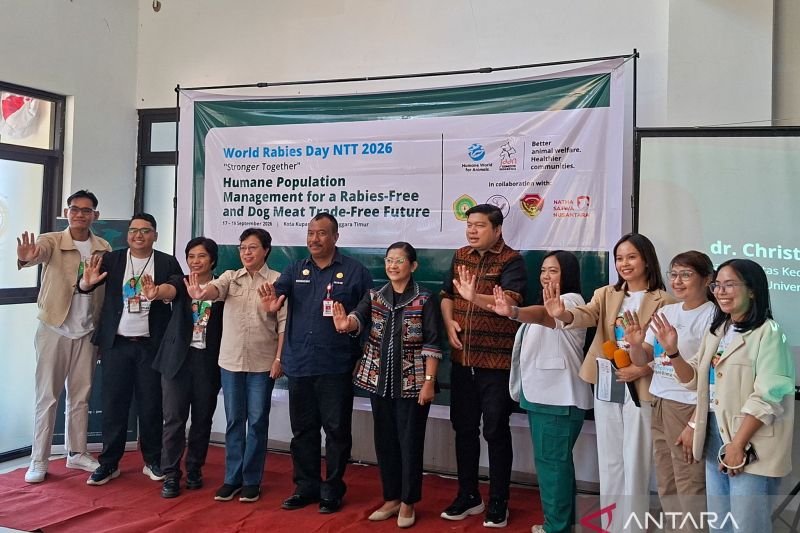 Undana Kupang Sterilkan 80 Anjing dan Kucing, Perkuat Kendali Populasi Hewan Pembawa Rabies di NTT