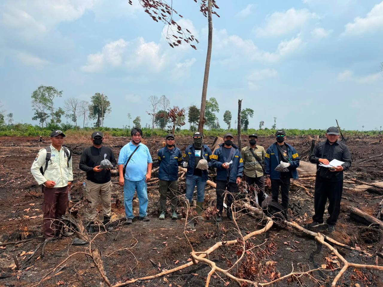 Polda Riau Kerahkan Lima Pakar untuk Usut Kebakaran Hutan di Lahan HGU PT TKWL