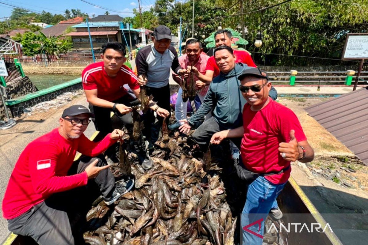 Festival Tangkap Ikan Sapu-Sapu di Sungai Kemuning Banjarbaru Kumpulkan 300 Peserta, 2,4 Ton Ikan Invasif Dimusnahkan