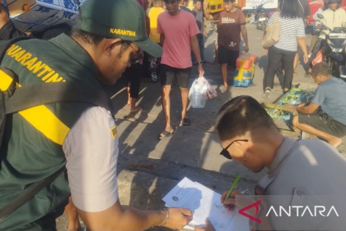 BKHIT Maluku Perketat Pengawasan Unggas, Tolak Ayam Tanpa Dokumen Karantina di Pelabuhan Ambon