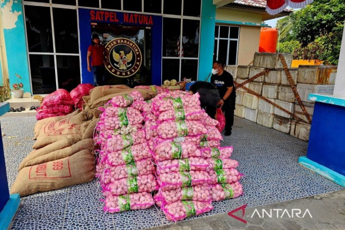 Karantina Kepri Bina 8 Pedagang Natuna yang Lalulintaskan Komoditas Tanpa Dokumen, Bawang dan Cabai Kering Bakal Dimusnahkan