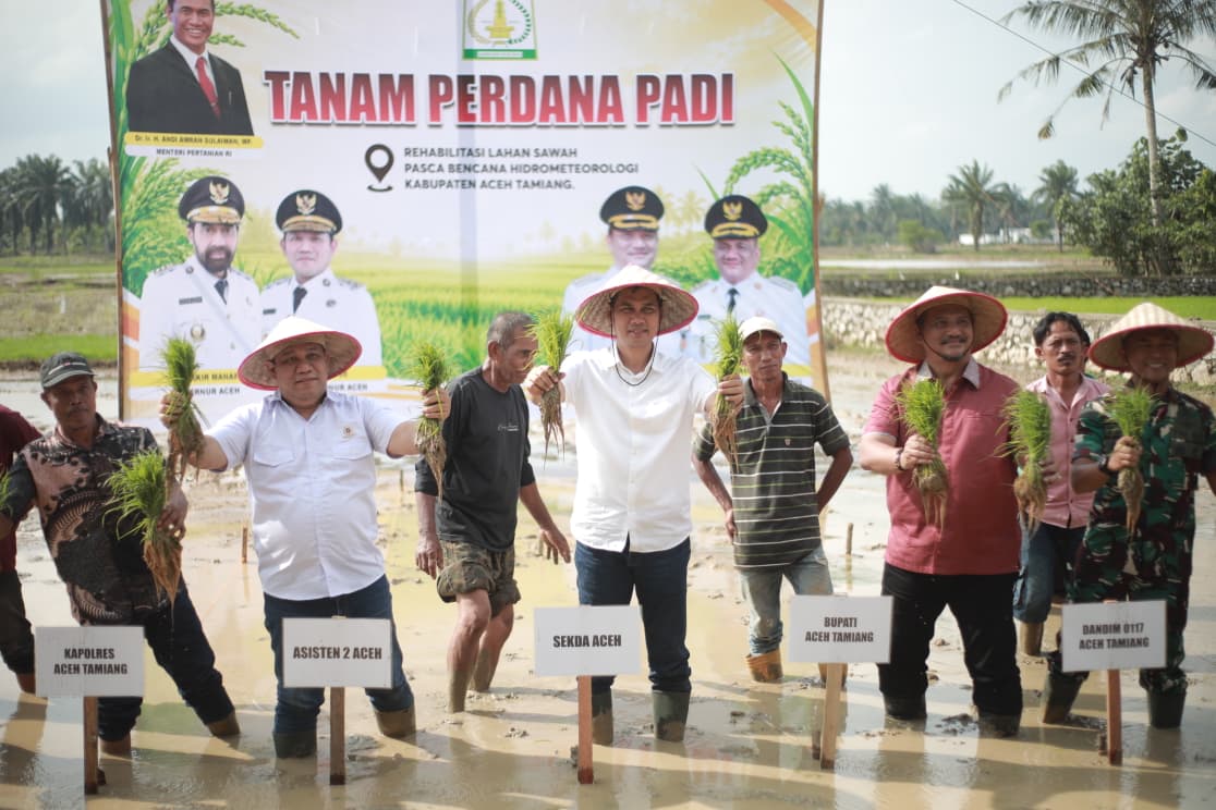 Sekda Aceh Resmikan Tanam Padi Perdana Pascabencana di Aceh Tamiang, Target Pulihkan 57.364 Hektare Sawah Rusak
