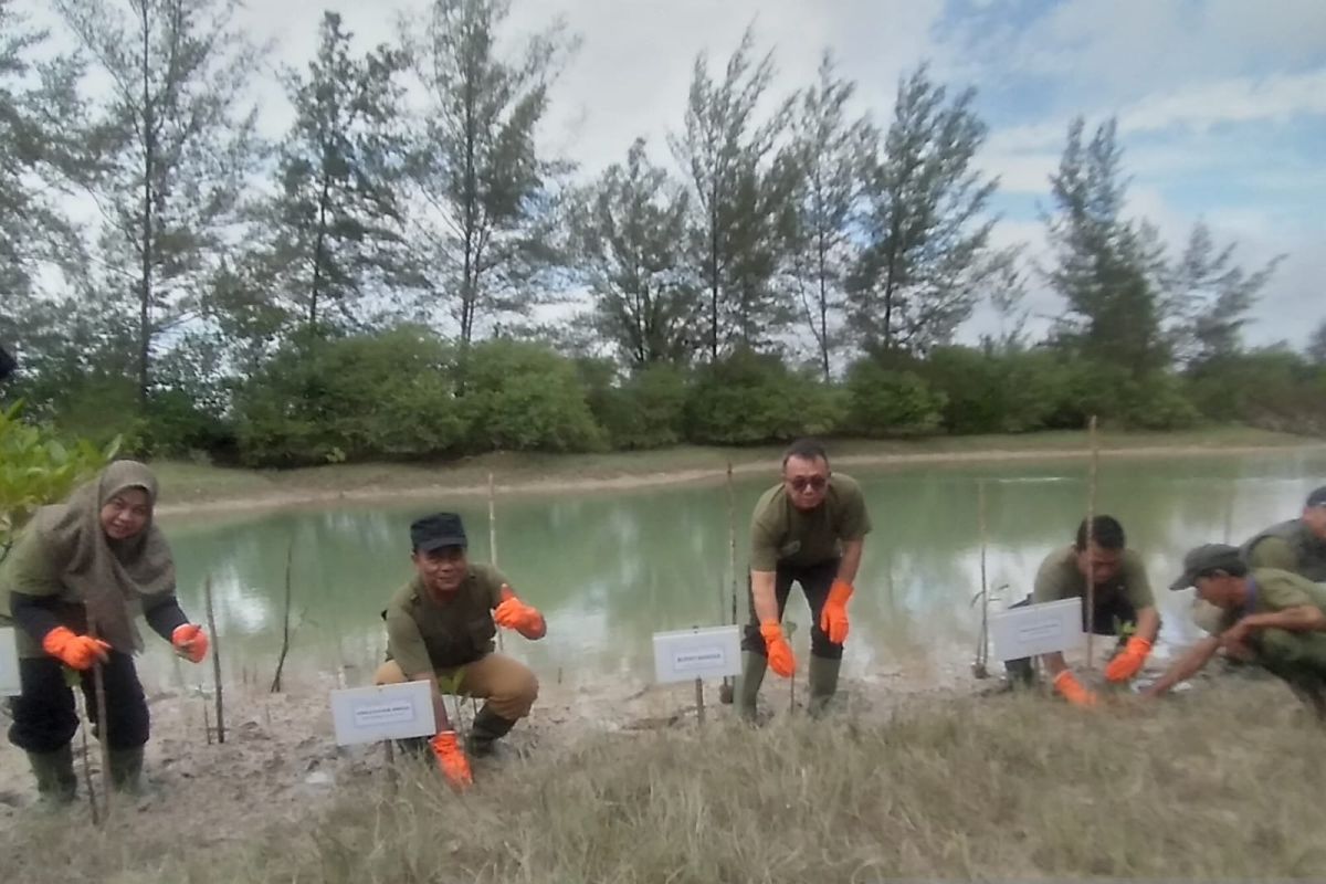Wakil Bupati Bangka Ajak Perusahaan Swasta Ikut Tanam Bakau di Kawasan Pantai Takari Cegah Abrasi