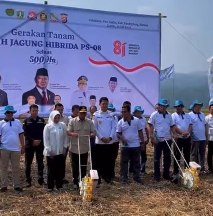 Panen Raya Padi Organik 1.500 Hektare di Pandeglang, Gubernur Banten Andrasoni Dorong Percepatan Swasembada Pangan Nasional