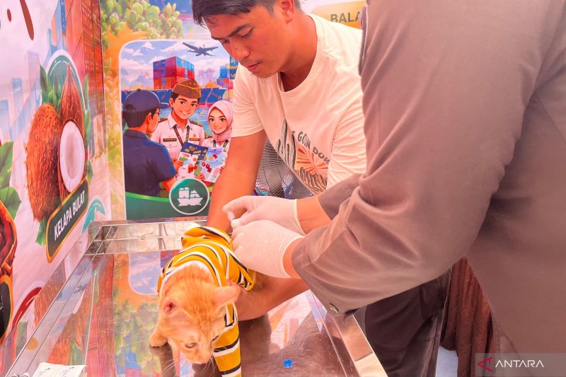 Balai Karantina Sulteng Buka Vaksinasi Rabies Gratis 100 Kuota untuk Hewan Peliharaan Warga Palu