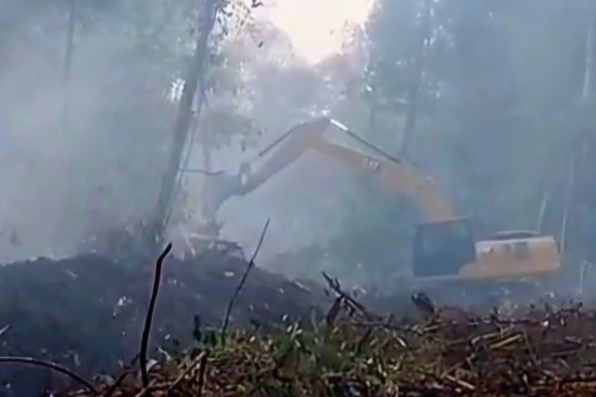 Pemkab Lingga Kerahkan 3 Alat Berat Tangani Karhutla, 80 Hektare Lahan Terbakar di Pudong