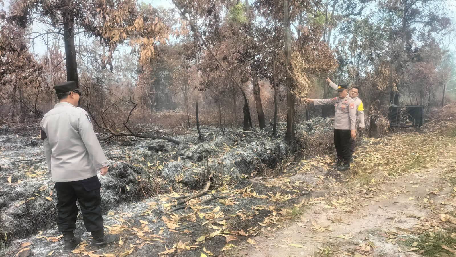 Kebakaran Lahan 10 Hektare di Bukit Batu Palangka Raya, Polsek dan MPA Kerja Keras Padamkan Api di Lahan Gambut