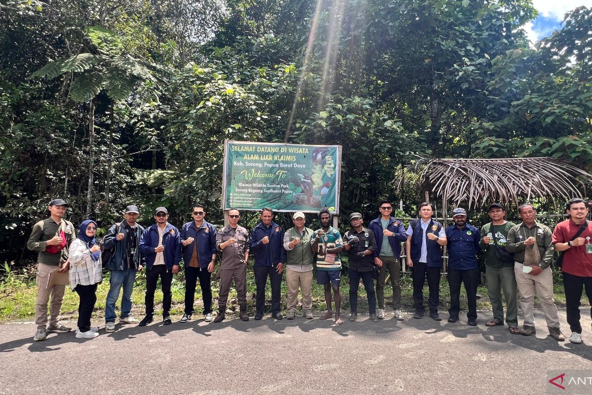 Polda Papua Barat Daya Lepas 17 Satwa Endemik di Sorong