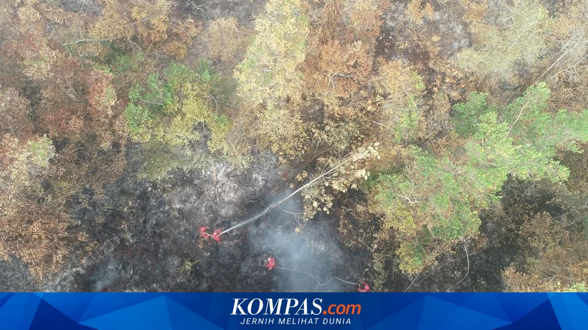 Karhutla di Muba Sumsel Belum Padam Sepekan Lebih, 9 Hektare Lahan Gambut Terbakar di Empat Titik