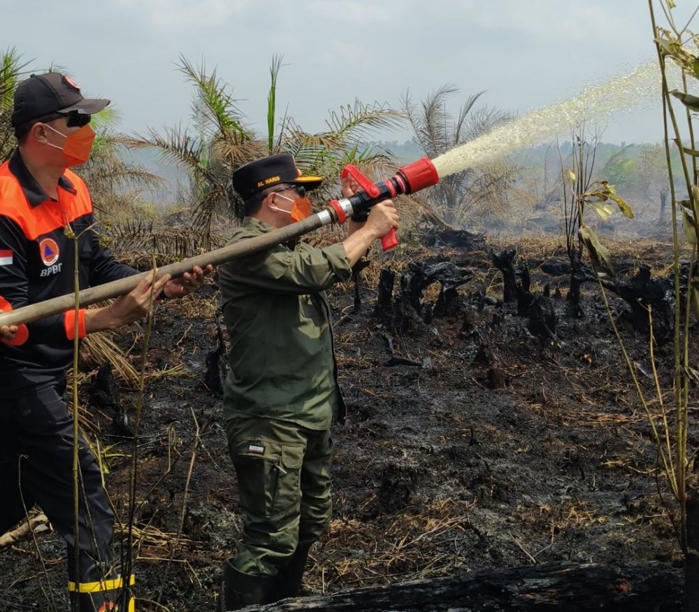 50 Hektare Lahan Gambut di Muaro Jambi Terbakar, 300 Personel dan 3 Helikopter Dikerahkan Padamkan Api