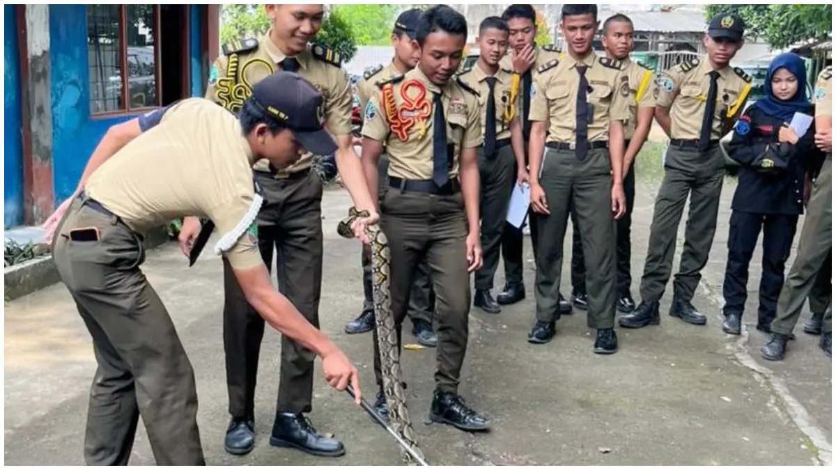 SMK Kehutanan Bakti Rimba di Jawa Barat Latih Siswa Tangani Ular Berstandar Medis, Bekal Rimbawan Tangguh Sebelum Terjun ke Lapangan