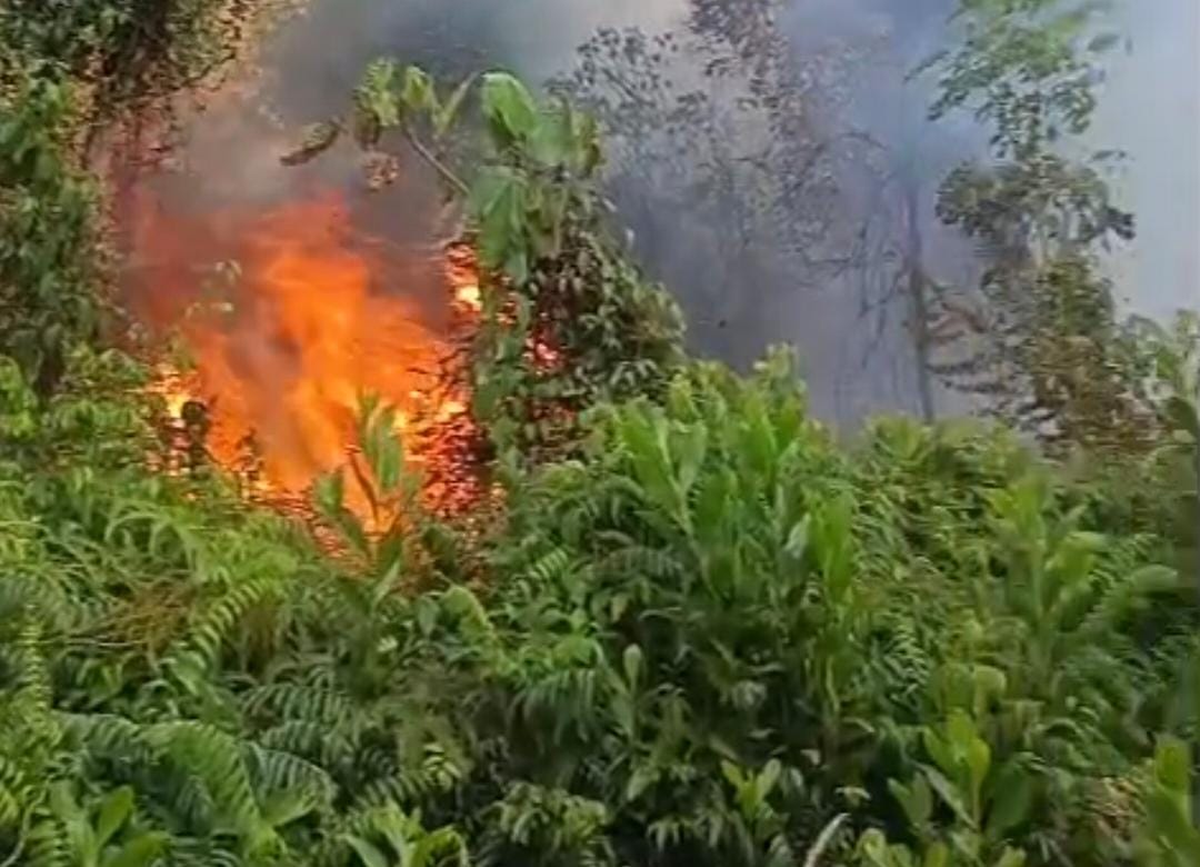 Kebakaran Hutan dan Lahan Kembali Muncul di Tayan Hilir Sanggau, Polisi Pasang Police Line di Lokasi