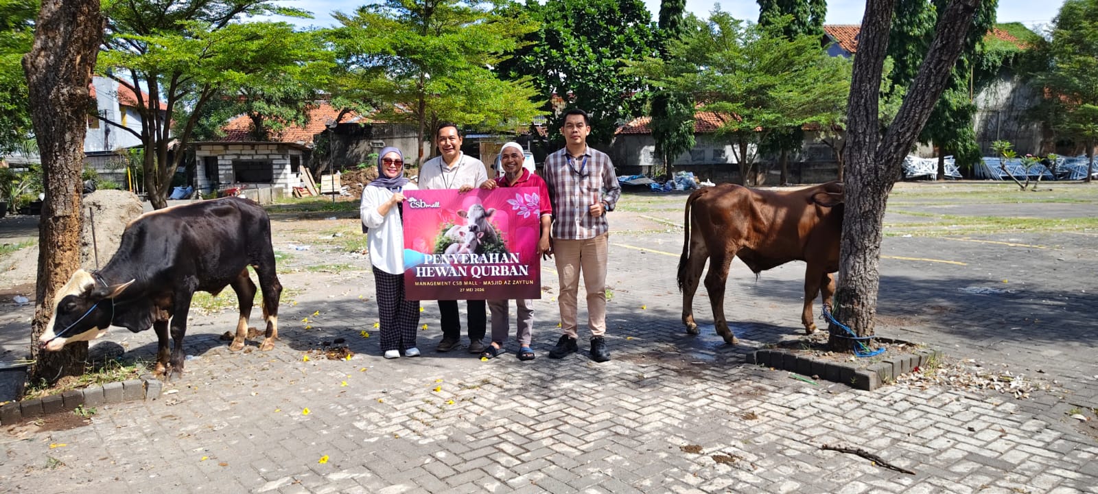 CSB Mall Cirebon Salurkan Dua Ekor Sapi Kurban untuk Warga Sekitar di Iduladha 2026, Tegaskan Komitmen Sosial