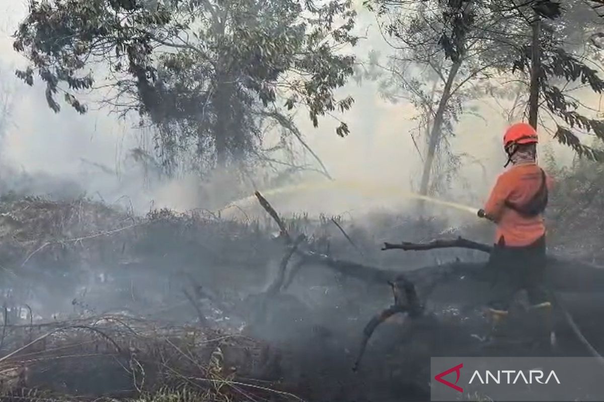 Karhutla Dekati Permukiman di Kubu Raya, 30 Personel Dikerahkan Padamkan Api di Lahan Gambut