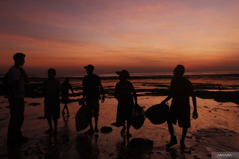 Pemprov NTT Kembangkan Lima Klaster Budidaya Rumput Laut Terintegrasi, Targetkan Ekonomi Biru untuk Warga Pesisir